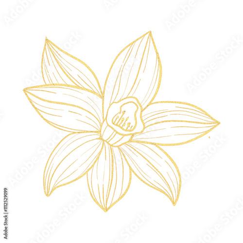 A flower with a gold outline