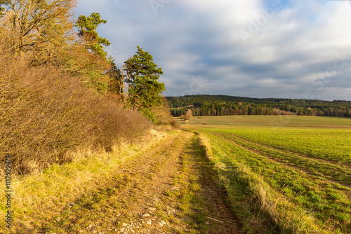 Obraz na płótnie A country road between a forest and a field on an autumn evening. w salonie