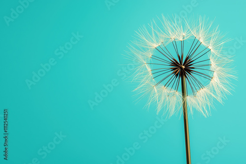 Wallpaper Mural delicate dandelion puff stands out against vibrant turquoise background, showcasing its intricate structure and soft, feathery seeds Torontodigital.ca