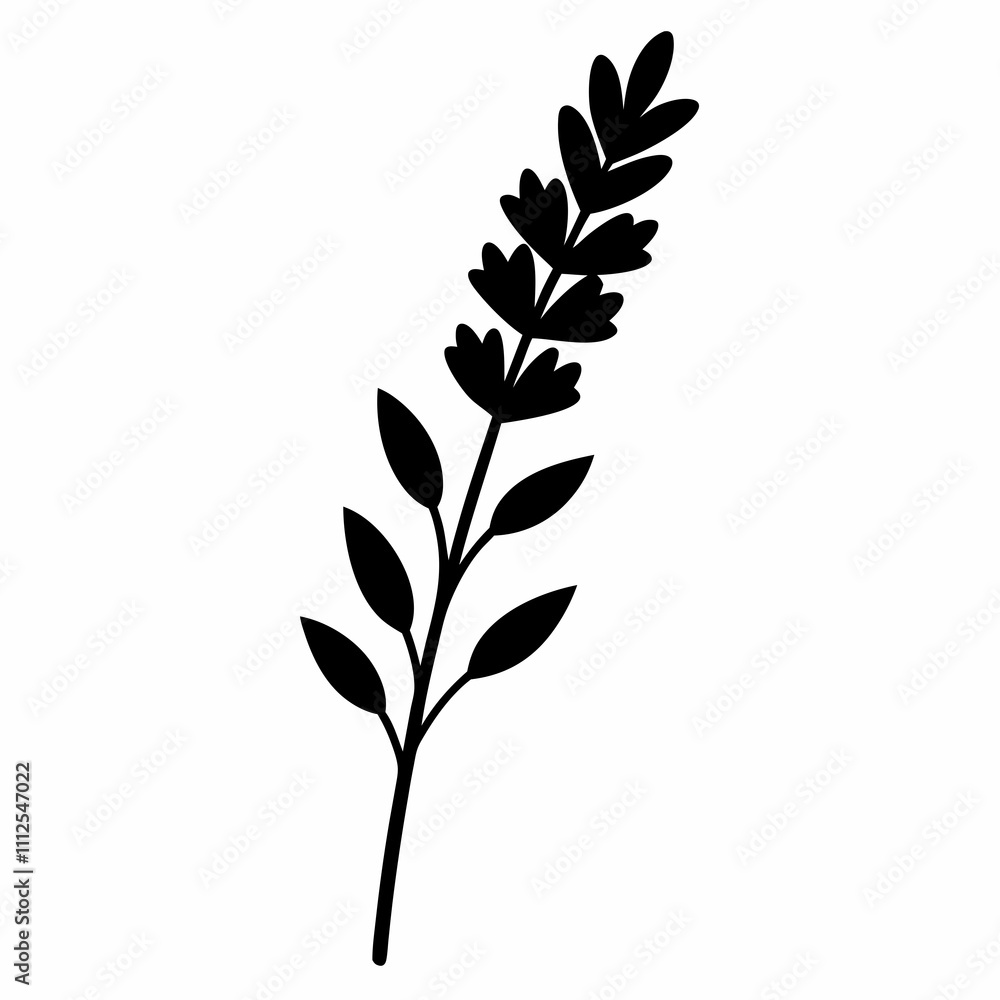 Fototapeta premium Lavender Sprig vector silhouette black design white background