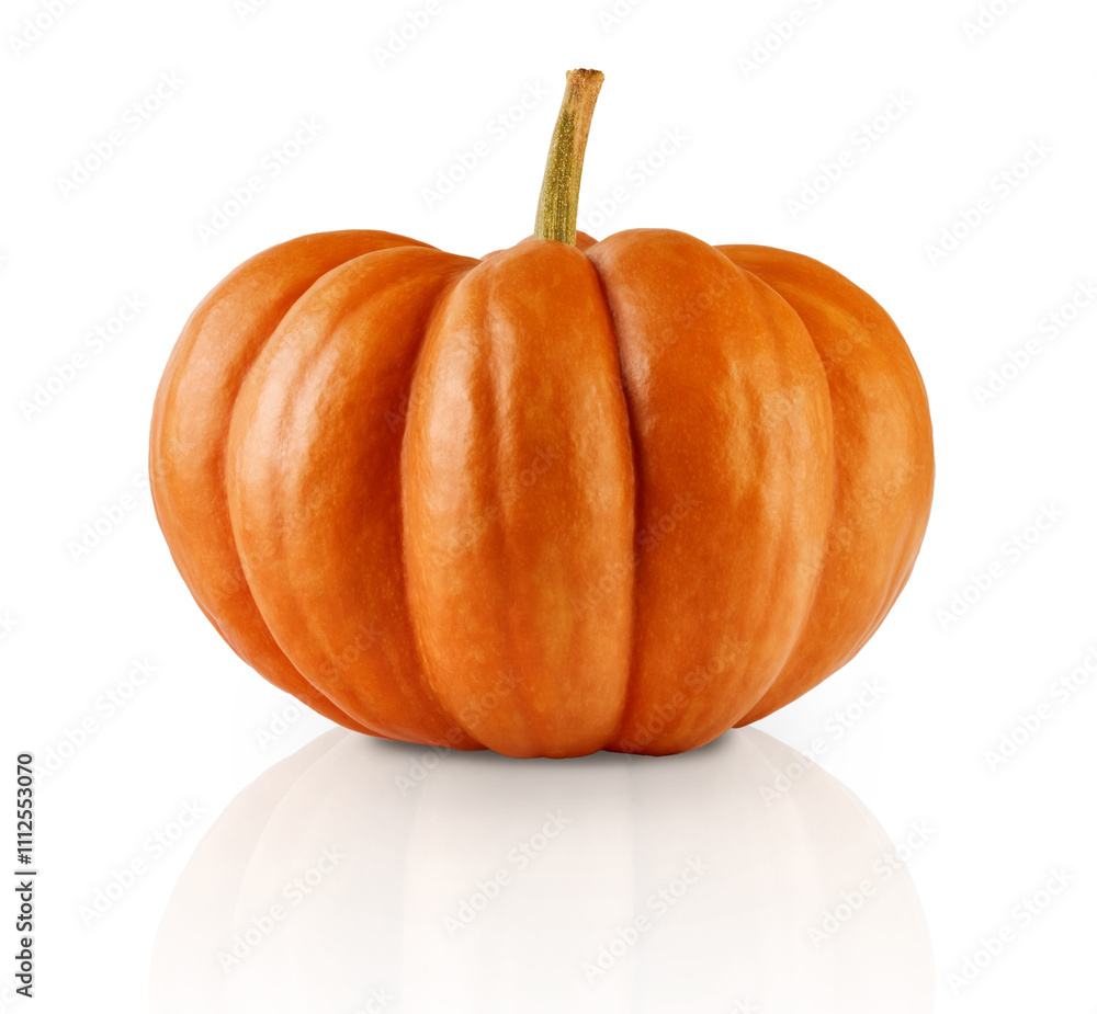 Obraz premium Pumpkin with clipping path isolated on white background. Design element.