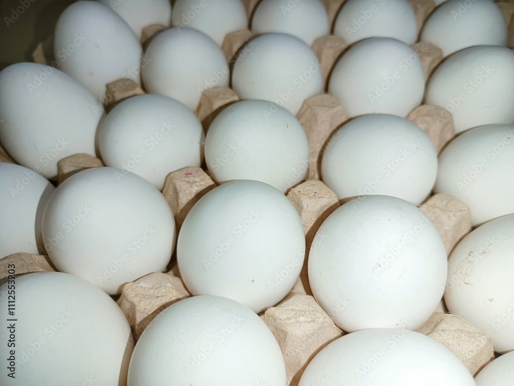 White eggs in trey box raw chicken eggs in paper egg tray on white background. Group of Fresh white Eggs in a cardboard cassette. Organic food from nature good for health White eggs in trey box raw chicken eggs in paper egg tray on white background. Group of Fresh white Eggs in a cardboard cassette. Organic food from nature good for health