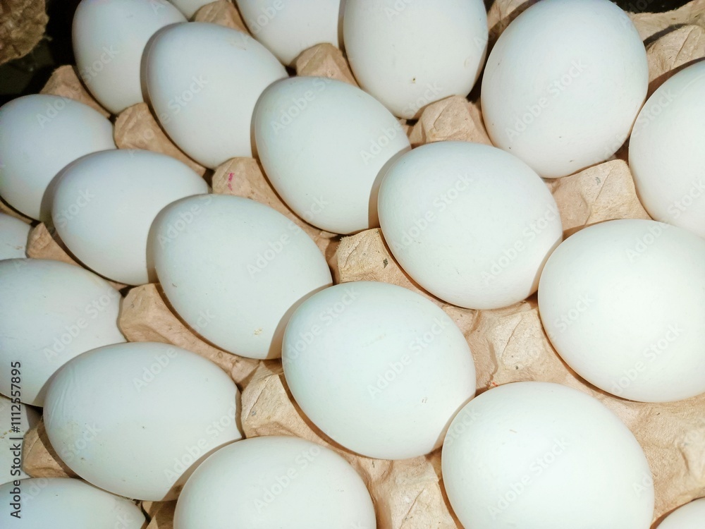White eggs in trey box raw chicken eggs in paper egg tray on white background. Group of Fresh white Eggs in a cardboard cassette. Organic food from nature good for health White eggs in trey box raw chicken eggs in paper egg tray on white background. Group of Fresh white Eggs in a cardboard cassette. Organic food from nature good for health