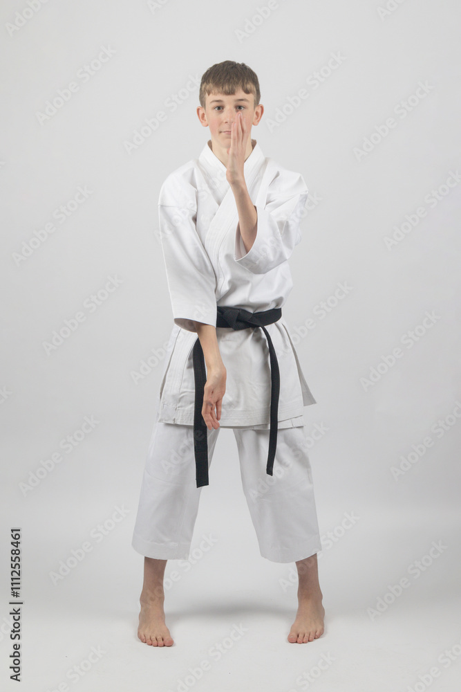 Fifteen year old male teenage karate black belt doing double open hand block, studio shot against a white background Fifteen year old male teenage karate black belt doing double open hand block, studio shot against a white background