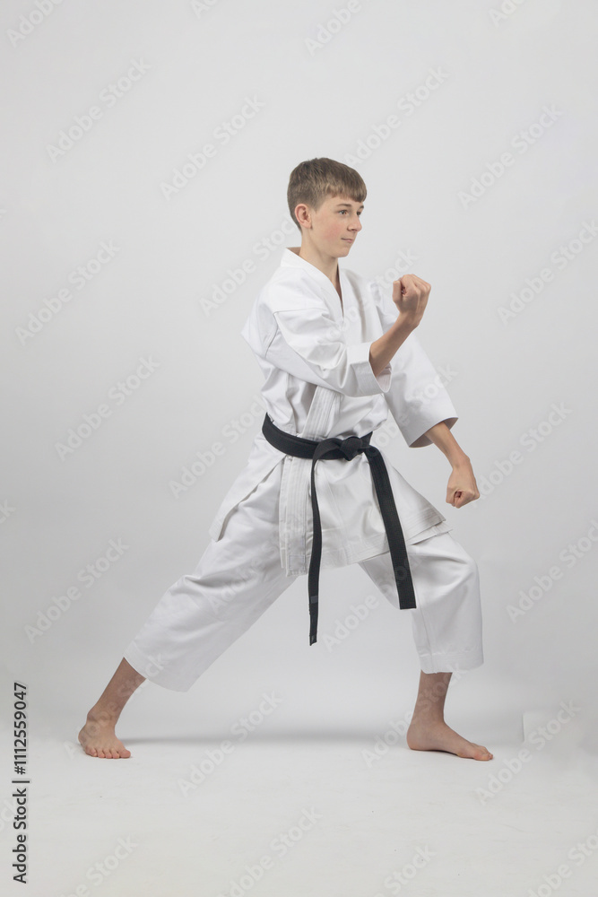 Fifteen year old male teenage karate black belt in long stance doing a double block, studio shot against a white background Fifteen year old male teenage karate black belt in long stance doing a double block, studio shot against a white background