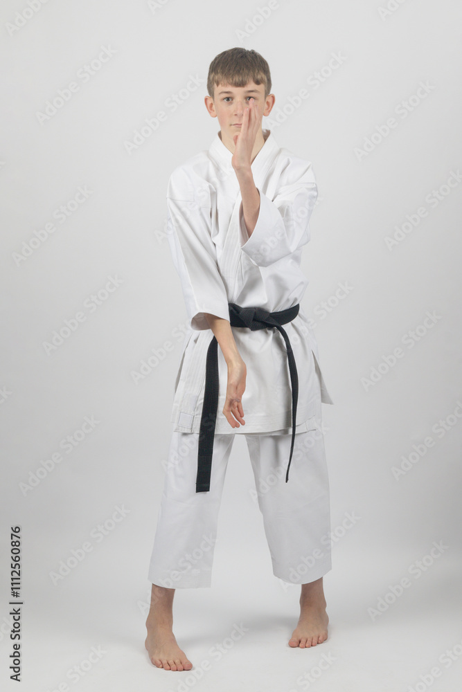 Fifteen year old male teenage karate black bel in sanchin stance doing open hand block, studio shot against a white background Fifteen year old male teenage karate black bel in sanchin stance doing open hand block, studio shot against a white background