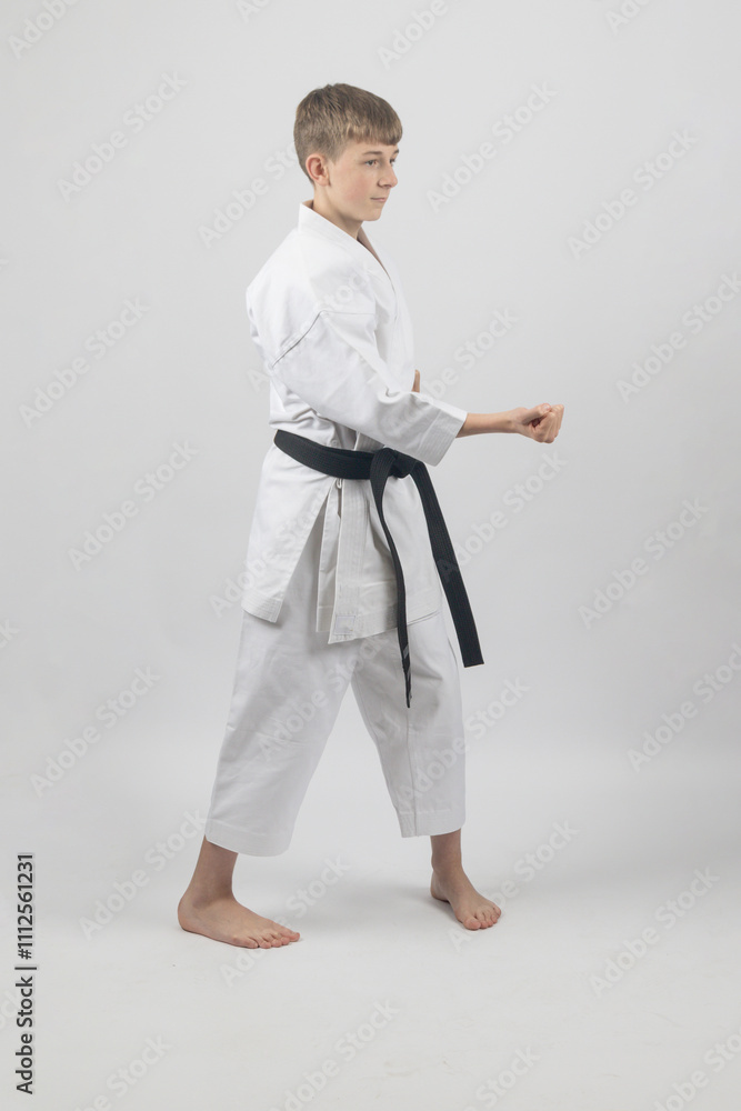 Fifteen year old male teenage karate black bel in sanchin stance punching , studio shot against a white background Fifteen year old male teenage karate black bel in sanchin stance punching , studio shot against a white background