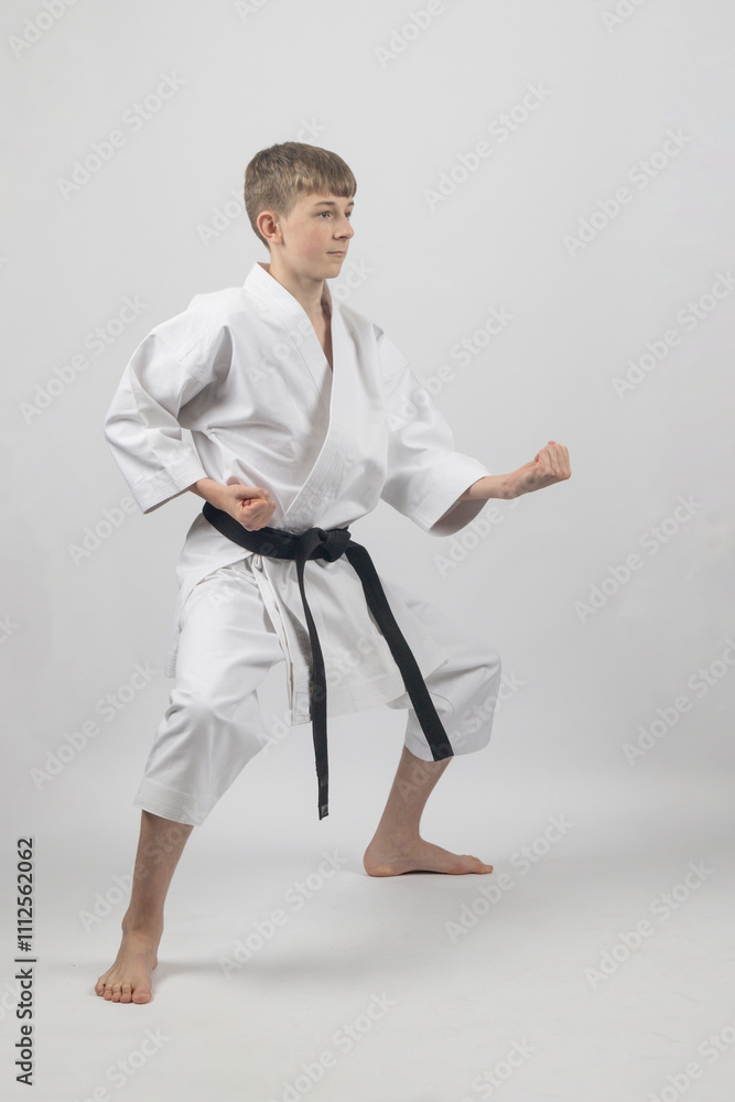 Fifteen year old male teenage karate black belt standing in a low stance punching, studio shot against a white background Fifteen year old male teenage karate black belt standing in a low stance punching, studio shot against a white background