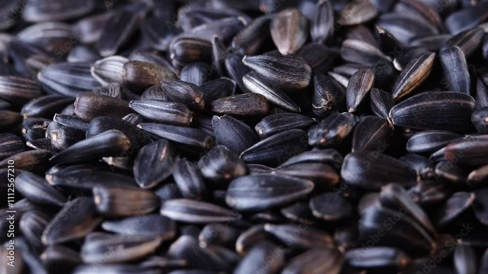 The sunflower seeds on a plate close-up. The sunflower seeds after harvest. Pile of Dried Sunflower Unpeeled Seeds, a Healthy Source of Vitamins in Vegan Food. The sunflower seeds on a plate close-up. The sunflower seeds after harvest. Pile of Dried Sunflower Unpeeled Seeds, a Healthy Source of Vitamins in Vegan Food.