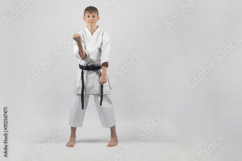 Fifteen year old male teenage karate black belt doing a double block, studio shot against a white background