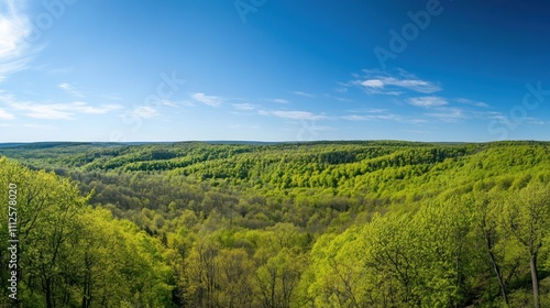 Panoramic view of a lush green forest under a bright blue sky