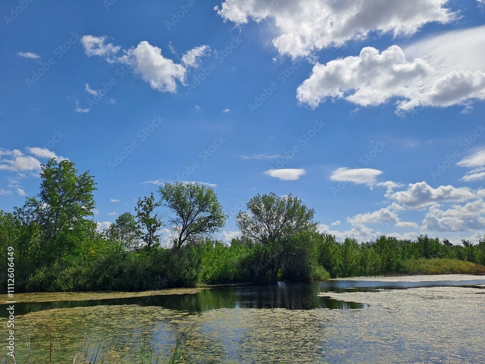 Fototapeta premium landscape with river and sky