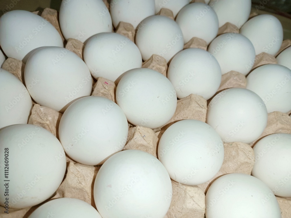 eggs in a box raw chicken eggs in paper egg tray on white background. Group of Fresh white Eggs in a cardboard cassette. Organic food from nature good for health eggs in a box raw chicken eggs in paper egg tray on white background. Group of Fresh white Eggs in a cardboard cassette. Organic food from nature good for health
