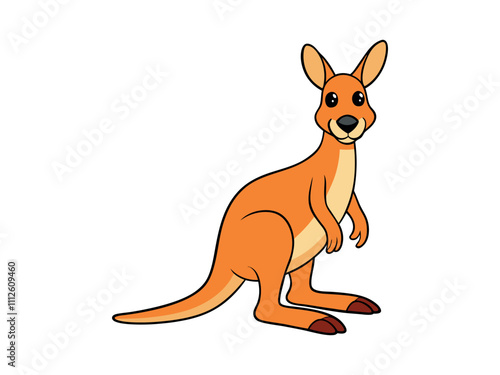 kangaroo cartoon illustration