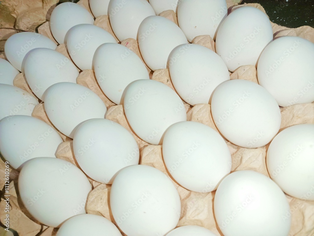 White eggs in trey box raw chicken eggs in paper egg tray on white background. Group of Fresh white Eggs in a cardboard cassette. Organic food from nature good for health White eggs in trey box raw chicken eggs in paper egg tray on white background. Group of Fresh white Eggs in a cardboard cassette. Organic food from nature good for health