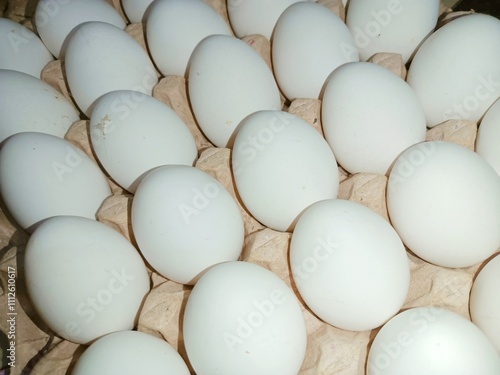 white eggs raw chicken eggs in paper egg tray on white background. Group of Fresh white Eggs in a cardboard cassette. Organic food from nature good for health