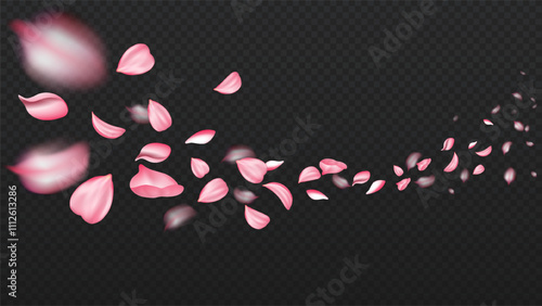 Realistic sakura petals. Pink cherry buds. Bloom and blosssom plants and flowers. Flying leaves and foliage. Spring season. 3D vector collection