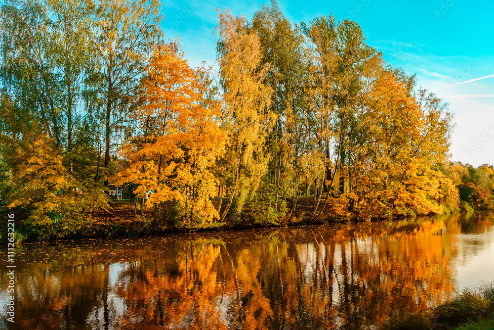 An autumn park with a lake and trees with beautiful yellow leaves. An autumn park with a lake and trees with beautiful yellow leaves.