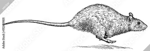 Vintage engraving isolated mouse set illustration mice ink sketch. Rat background rodent silhouette hamster art. Black and white hand drawn vector image