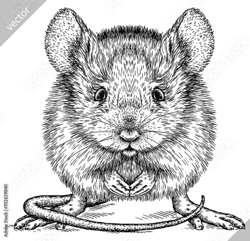Vintage engraving isolated mouse set illustration mice ink sketch. Rat background rodent silhouette hamster art. Black and white hand drawn vector image