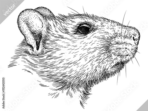 Vintage engraving isolated mouse set illustration mice ink sketch. Rat background rodent silhouette hamster art. Black and white hand drawn vector image