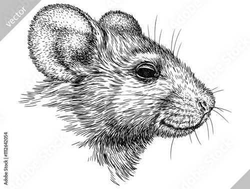 Vintage engraving isolated mouse set illustration mice ink sketch. Rat background rodent silhouette hamster art. Black and white hand drawn vector image