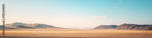 Vast desert panorama with clear blue sky