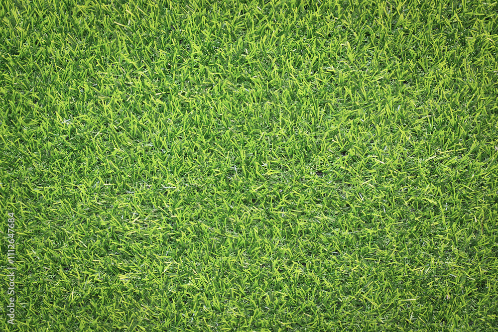 Obraz premium artificial grass background