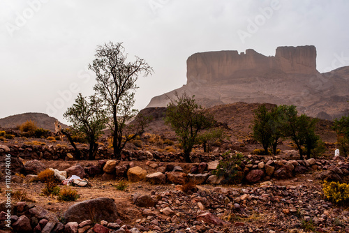 Εκτύπωση καμβά 2024 03 13 Jebel Saghro Atlas oasis 55
