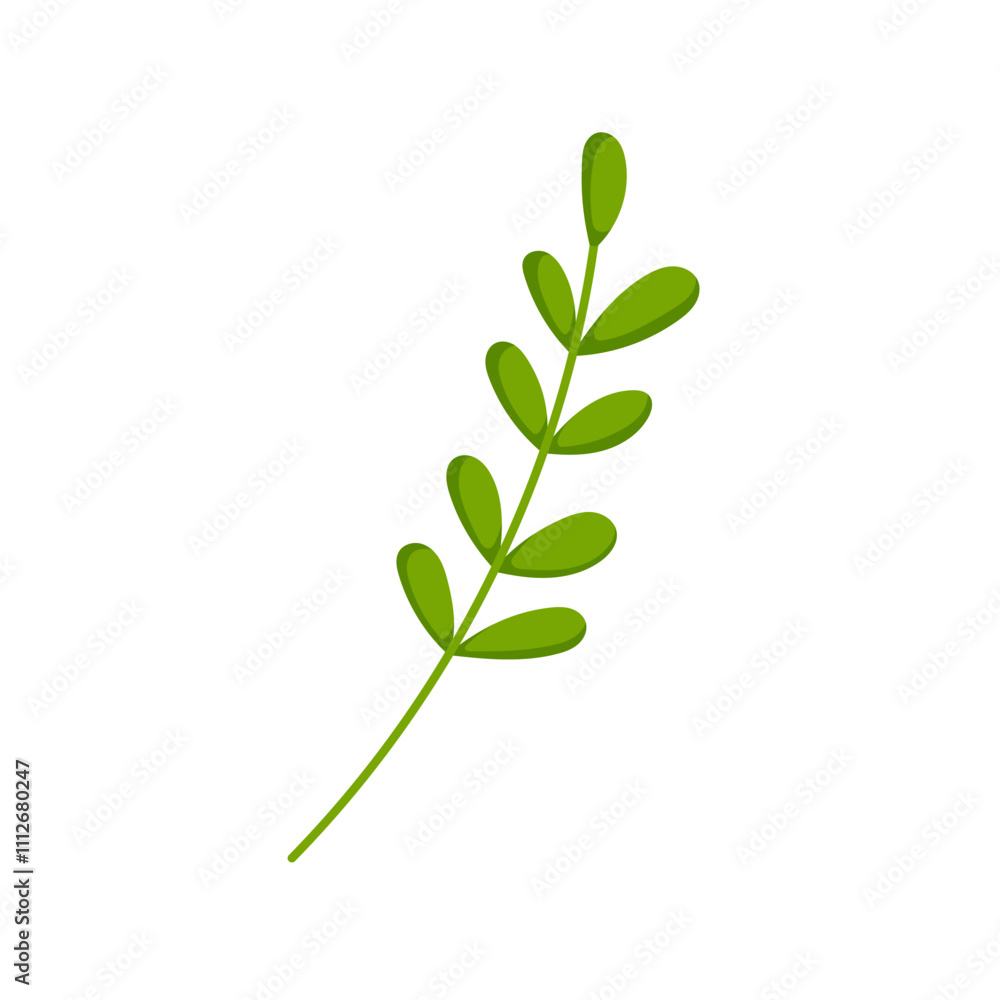 Green branch with rounded leaves in cartoon. Simple botanical design perfect for nature themed project, eco friendly design and decorative elements. Isolated on white background. Green branch with rounded leaves in cartoon. Simple botanical design perfect for nature themed project, eco friendly design and decorative elements. Isolated on white background.