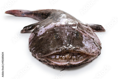 goosefish isolated on white background