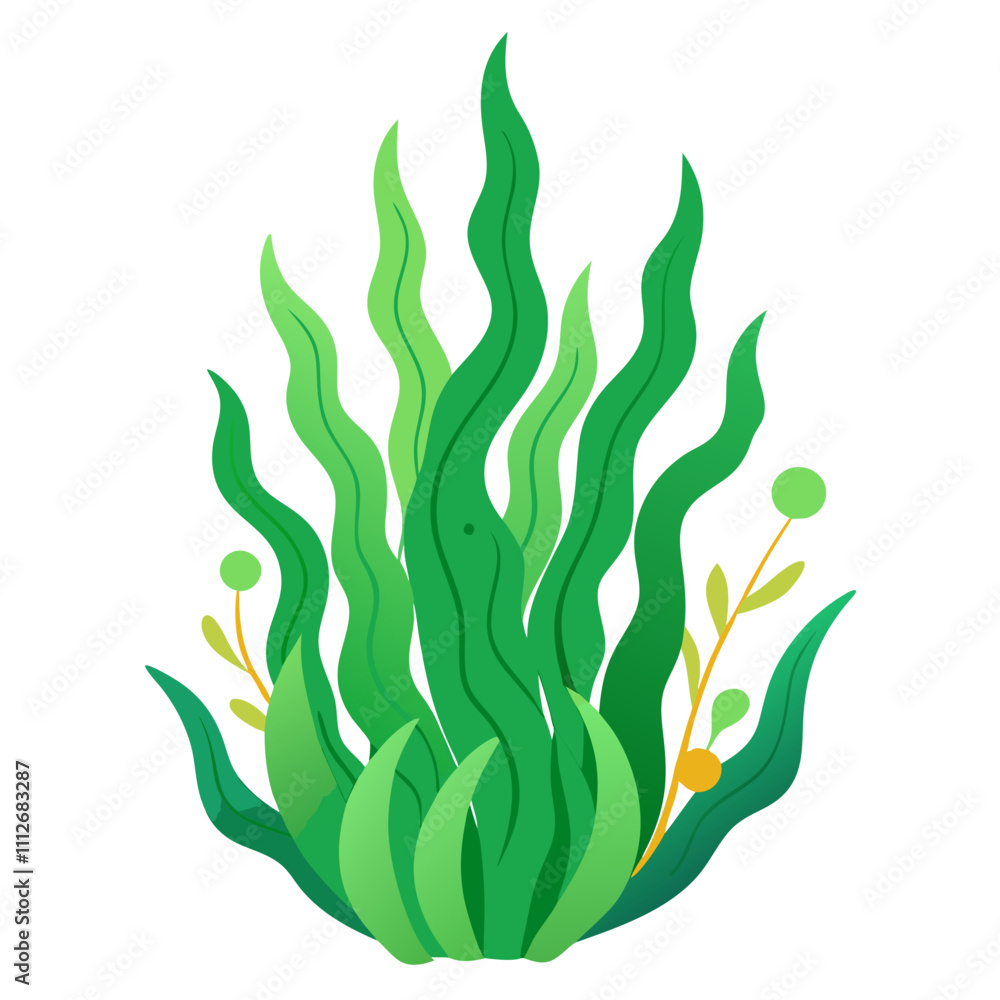 seaweed illustration on white seaweed illustration on white