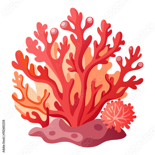 seaweed illustration