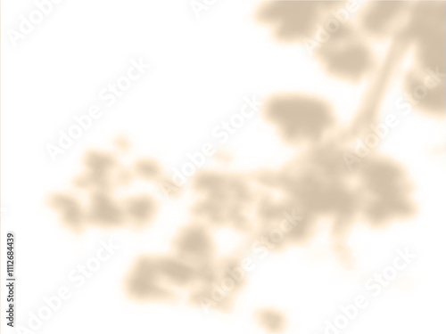 Vector illustration of a wall background with a blurred shadow of a tree branch with leaves.