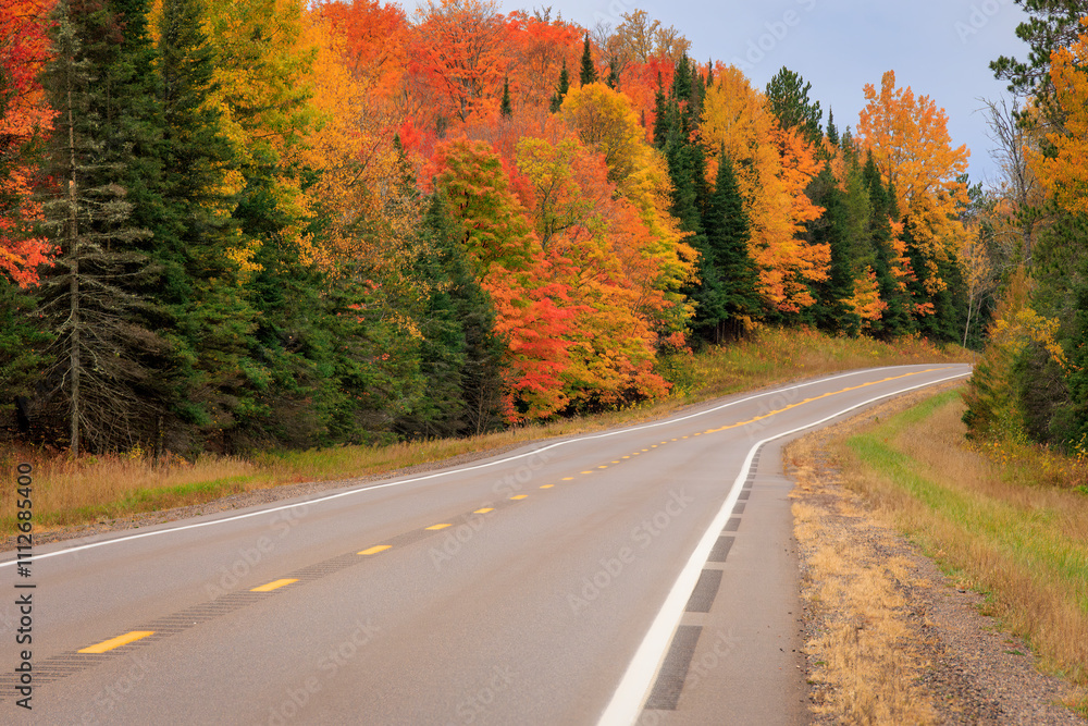 Fototapeta premium Autumn Drive (2024)