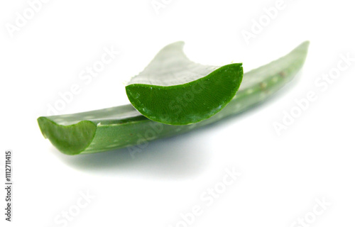 An aged of aloe tree on white background