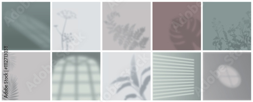 Window light shadows set. Silhouettes of plants and window frames on pastel colored wall. Geometric stage and showroom. Realistic vector collection