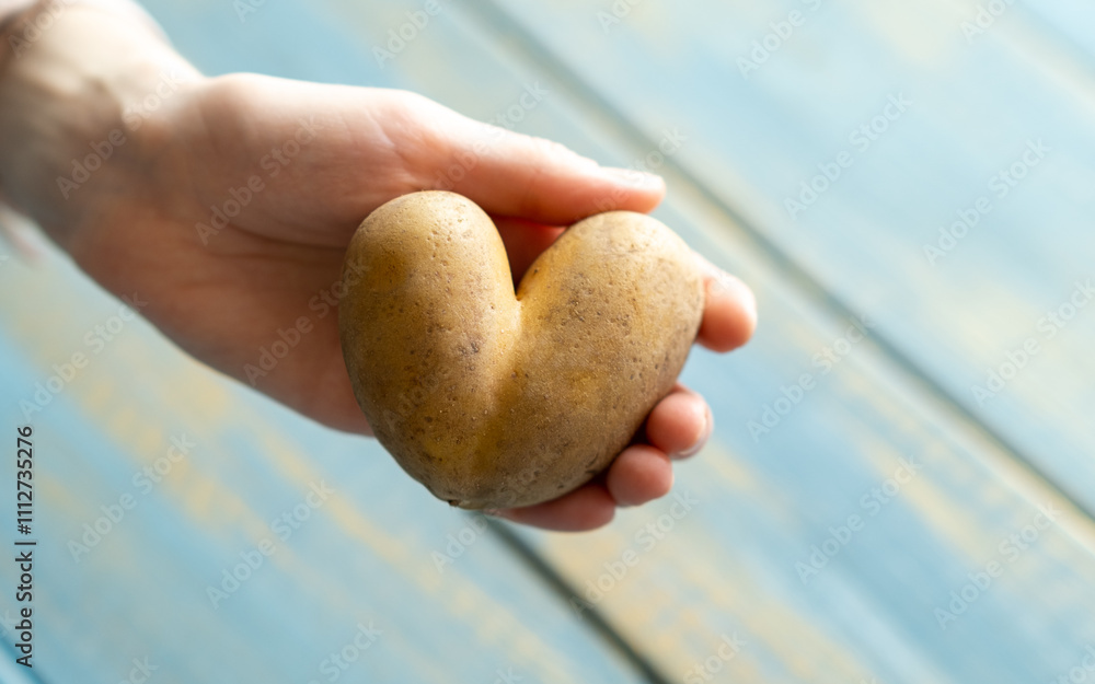 A woman in a blue t-shirt holds heart-shaped potatoes in her hands A woman in a blue t-shirt holds heart-shaped potatoes in her hands