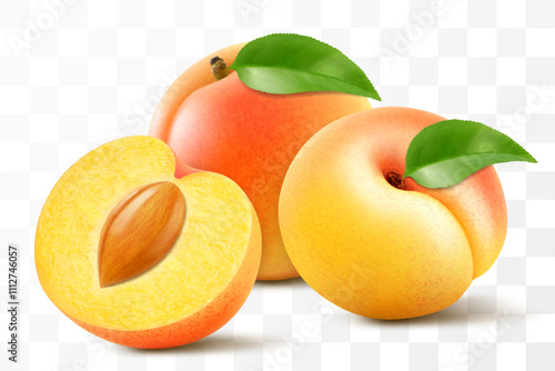 Apricot fruits whole and half with pit isolated on transparent background. Concept of healthy food, vegetarian dieting. Realistic 3d vector illustration.