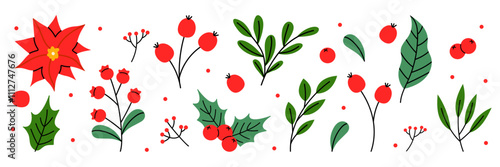Set of vector hand drawn Christmas plants. Winter berries and leaves, fir, flowers, Xmas decor. Christmas botanical collection for invitations, greeting card, textile, fabric, posters. Floral print