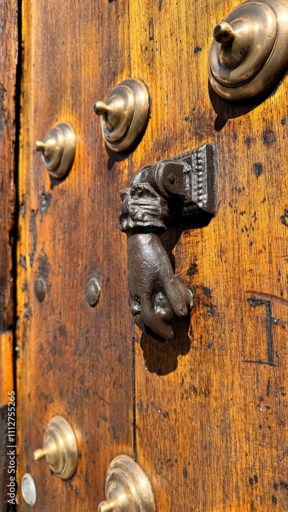 Fototapeta premium antique doors with brass and coper accents 