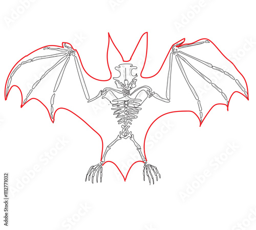 Skeletal system of animals. Animals Bone Structure hand drawing vector illustration