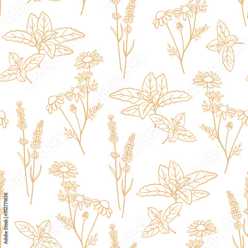 Seamless pattern with hand drawn herbs. Mint, chamomile and lavender plants in beige color. Design for fabric, wrapping, prints