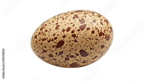 Egg transparent background