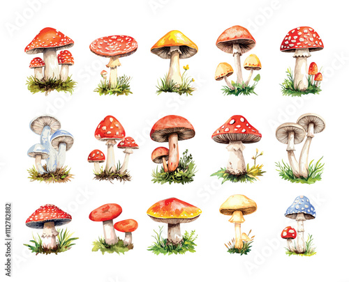 Watercolor mushrooms. Fly agaric forest fungi, redhead mycelium poison toxic toadstools spores, isolated on white background