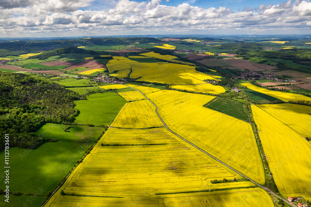 Top view of rapeseed fields. Yellow rapeseed field with stripes and abstract landscape. Germany.