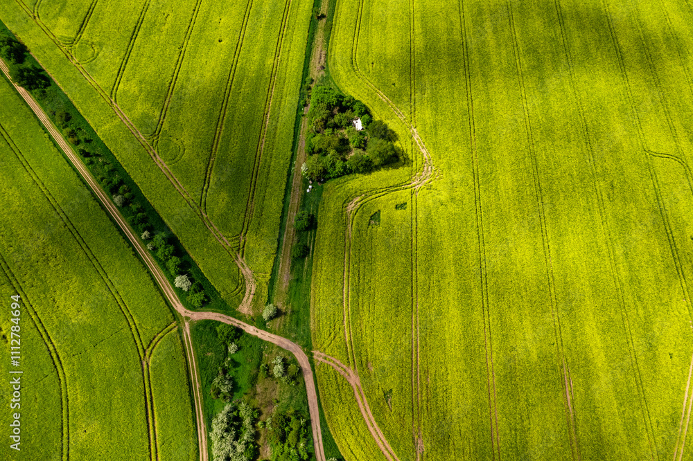 Top view of rapeseed fields. Yellow rapeseed field with stripes and abstract landscape. Germany.