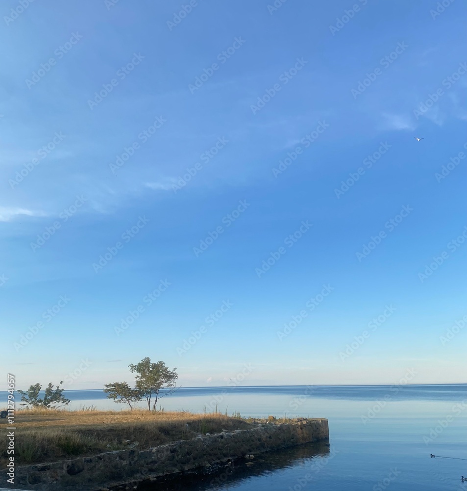 beautiful sunset in the horizon