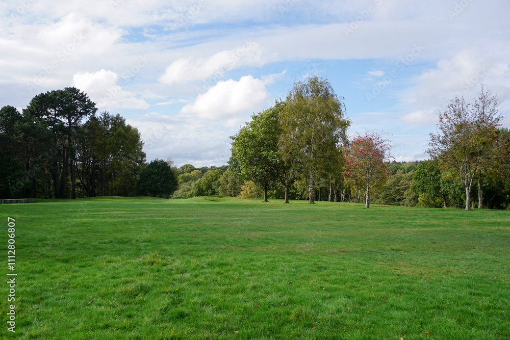 Green landscape of golf course. view of golf hole fairway and surrounding trees Green landscape of golf course. view of golf hole fairway and surrounding trees