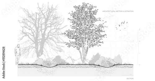 Vector illustration of architectural drawings featuring minimal-style CAD tree line drawings. Includes side views, plan views, and section forest outline symbols designed for winter landscape design.